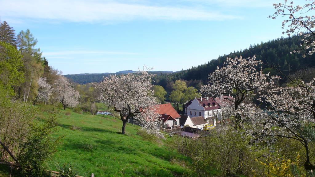 Penzion Padrtuv Mlyn Třebíč Zewnętrze zdjęcie